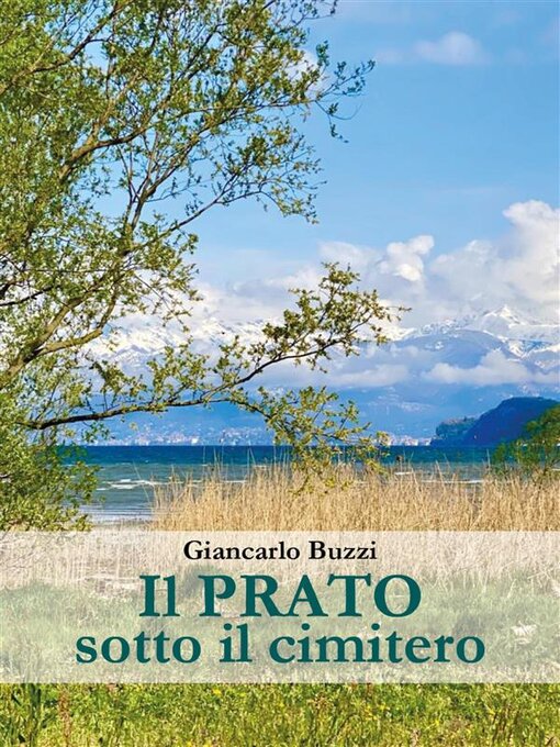 Title details for Il prato sotto il cimitero by Giancarlo Buzzi - Available